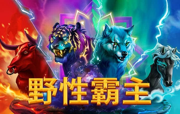 高云体育app